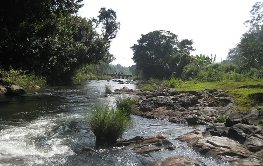 Resort With Fun Activities in Kerala