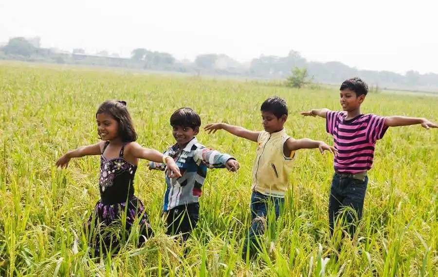 Best Resort With Food in Anaikatti