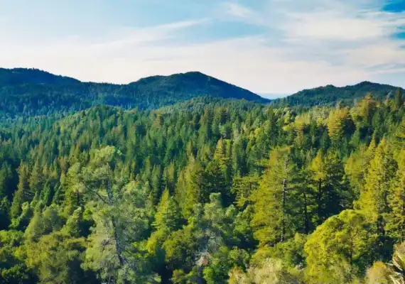 Resort with Bonfire in Anaikatti