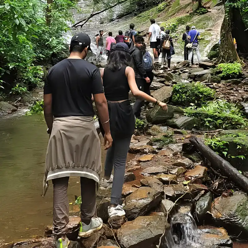 Best Riverside Resort with Food in Kerala