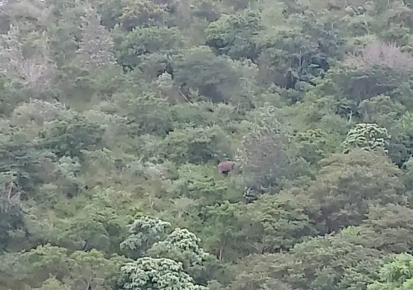 Best Resorts with Food in Anaikatti