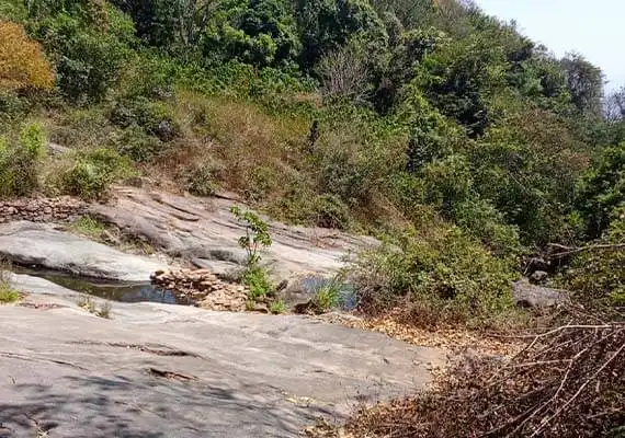 Best Resort with Food Near Anaikatti