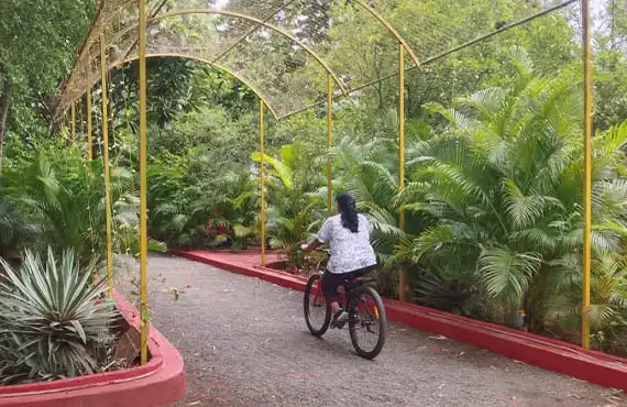 River View Stay for Friends Anaikatti